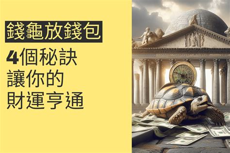 錢龜放哪裡|【錢龜要放哪裡】錢龜財富密碼：擺放位置大公開！財。